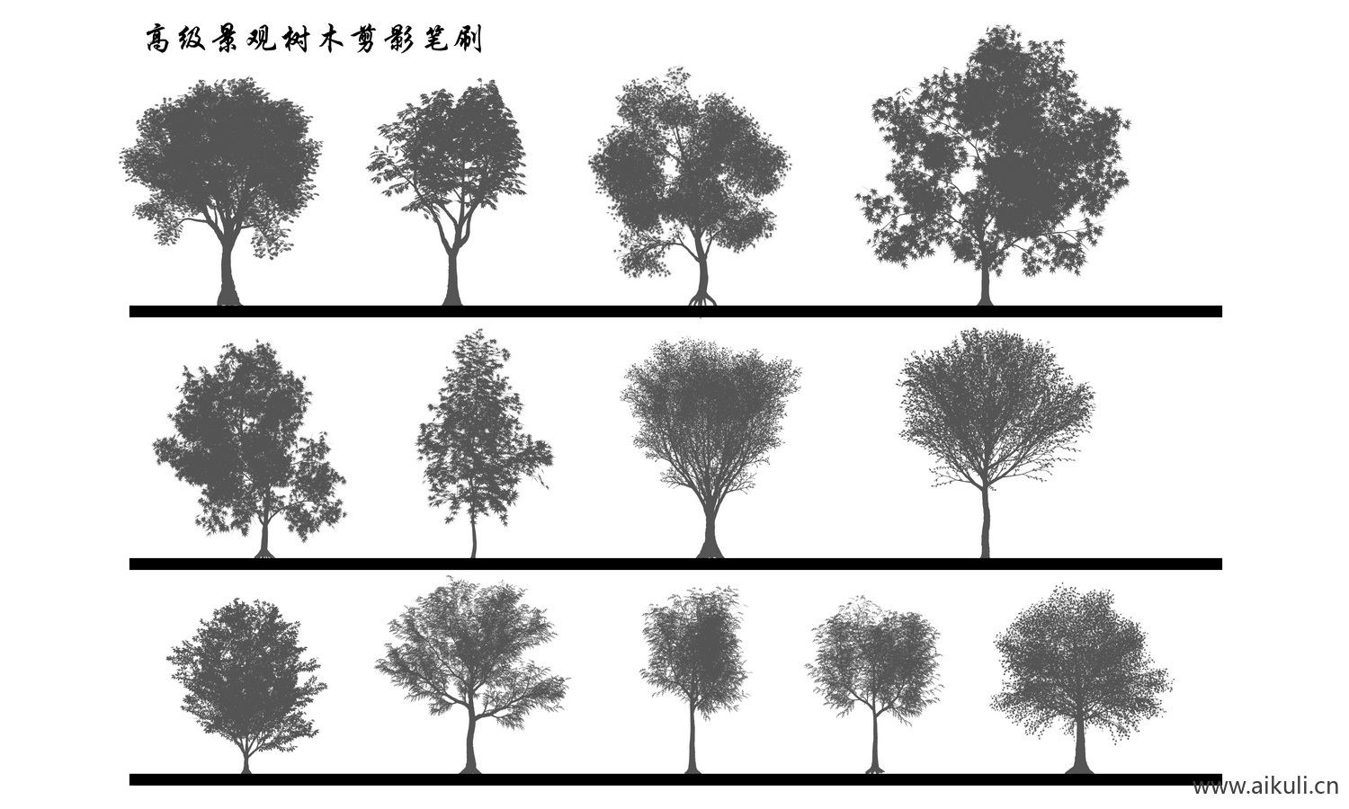 植物剪影-灌木乔木景观植物立面树PS笔刷