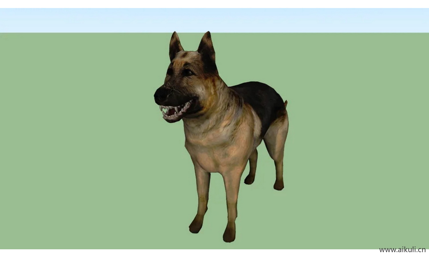 狗牧羊犬