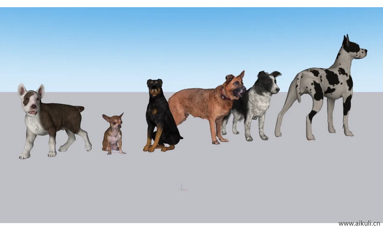 佩罗斯犬3d