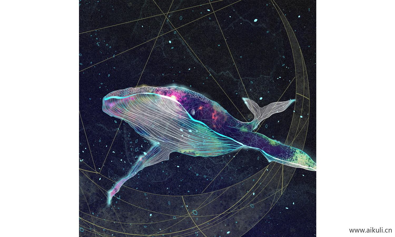 星空治愈系鲸鱼装饰画贴图