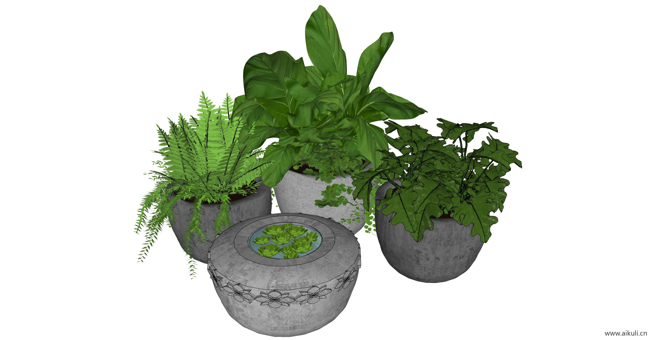 植物盘载2