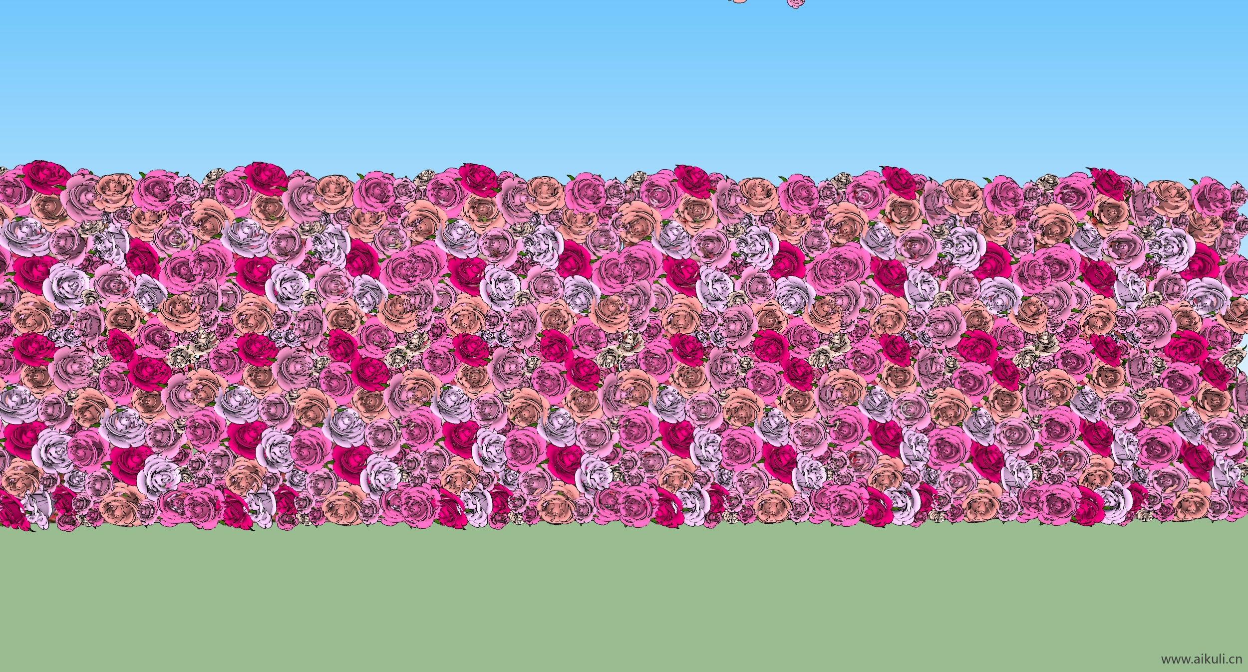 Flores