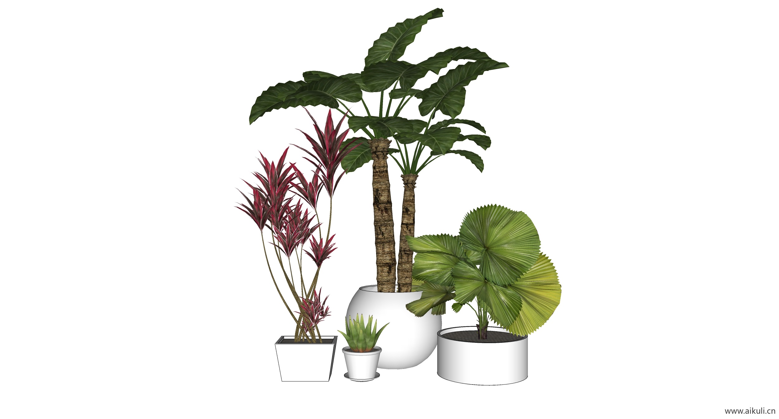 植物盘载