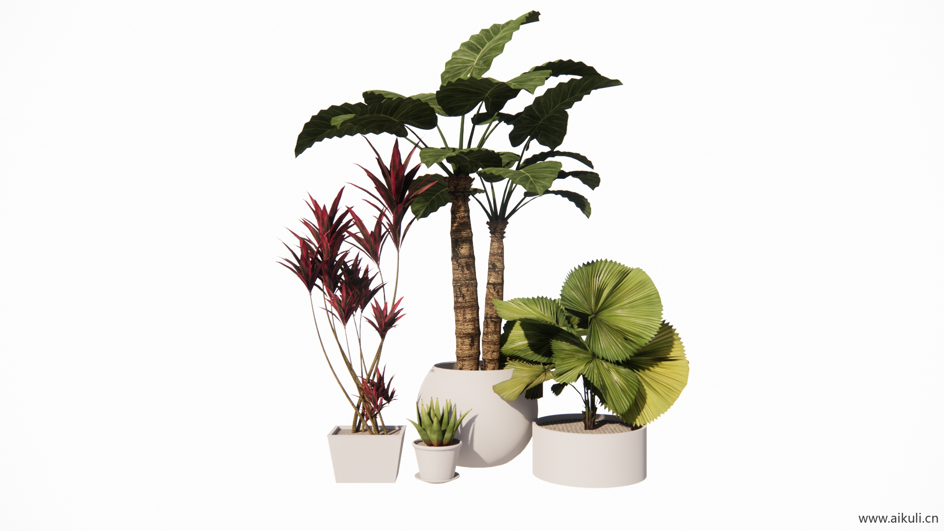 植物盘载