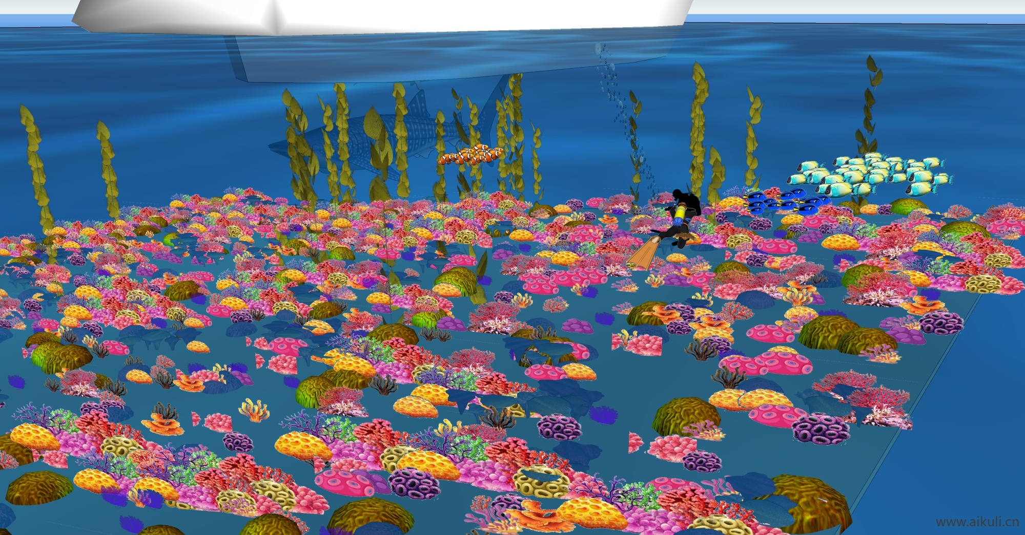 鱼类鲨鱼鲸鱼海豚海豹珊瑚海草