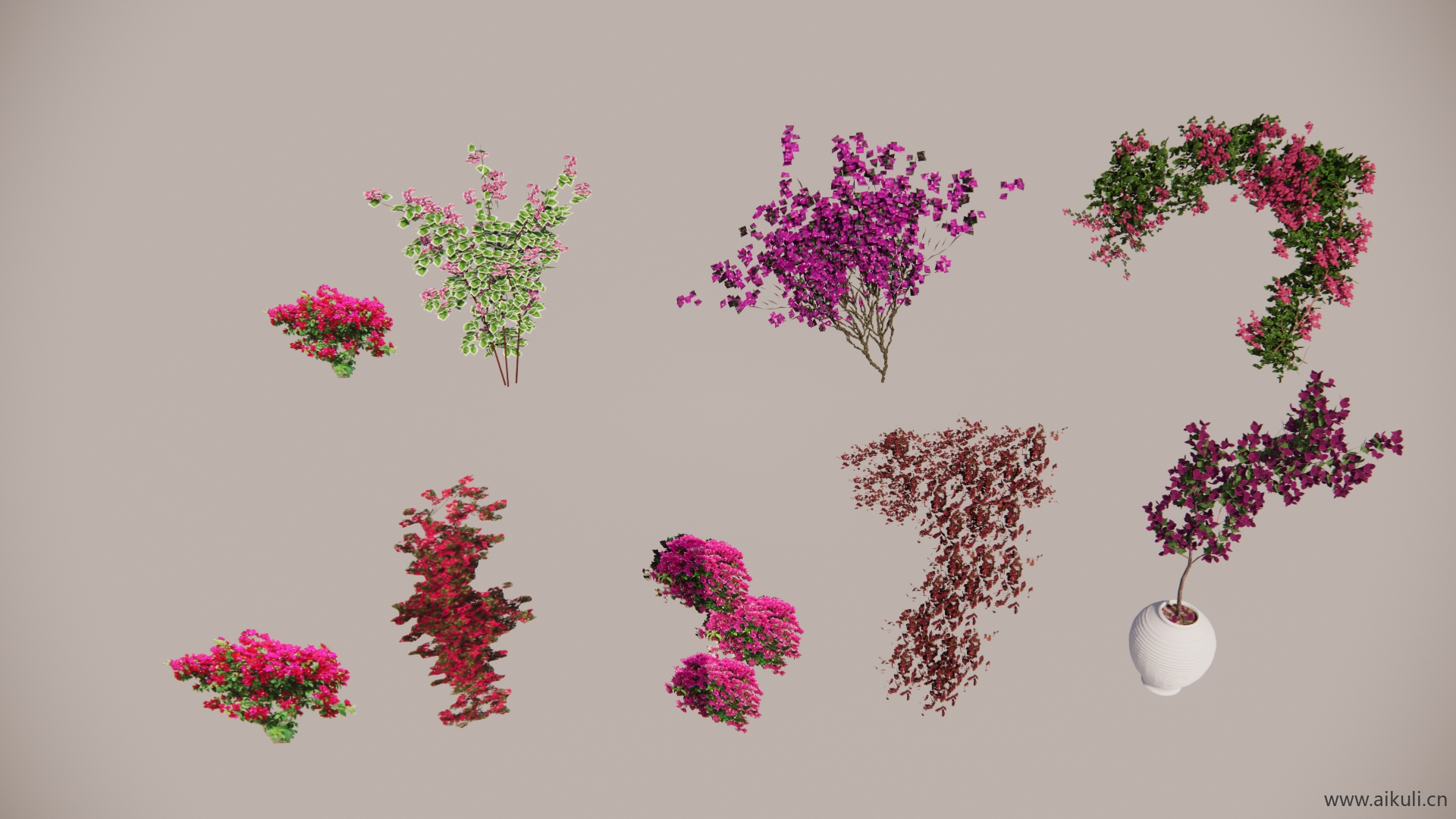 花树
