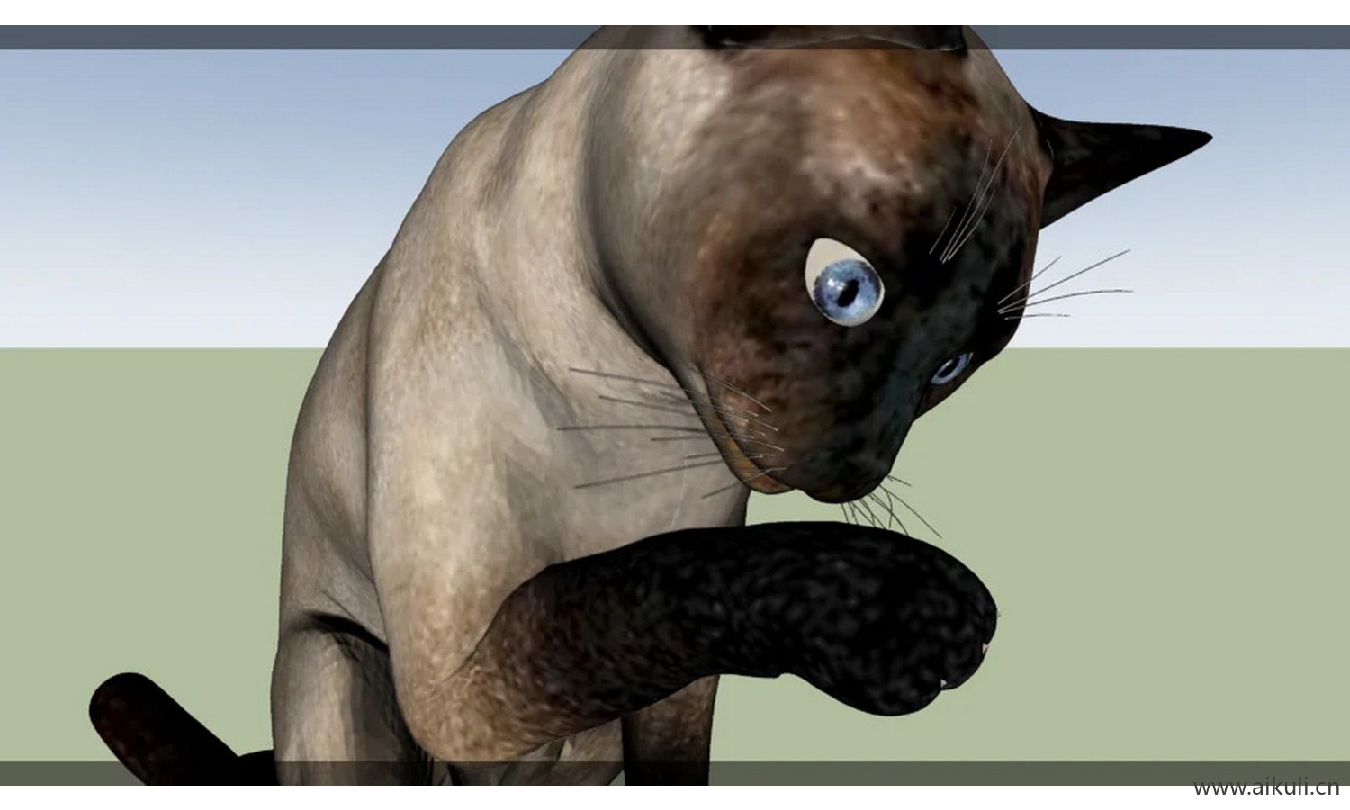 猫#动物