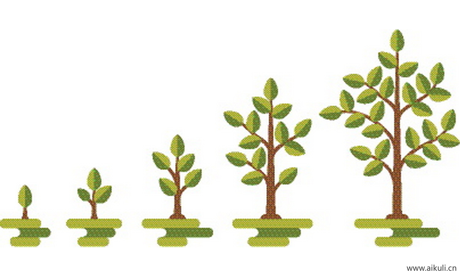 卡通植物生长变化长大插画EPS矢量