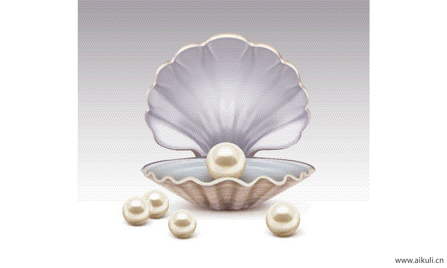 EPS矢量贝壳河蚌海贝珍珠贝大颗粒彩色扇贝