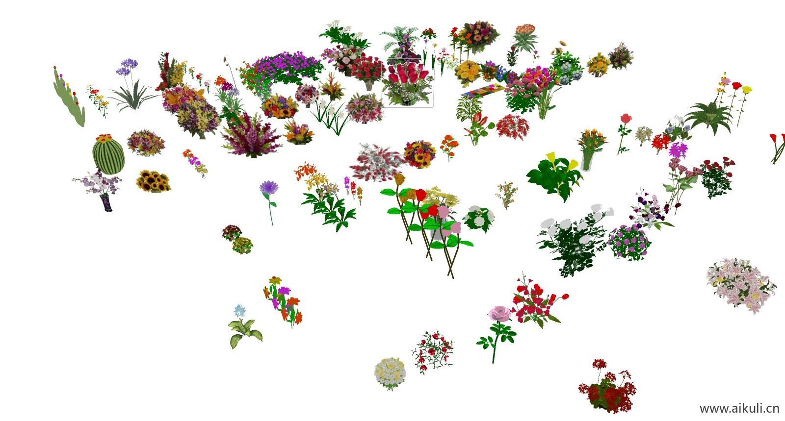 花瓶插花植物