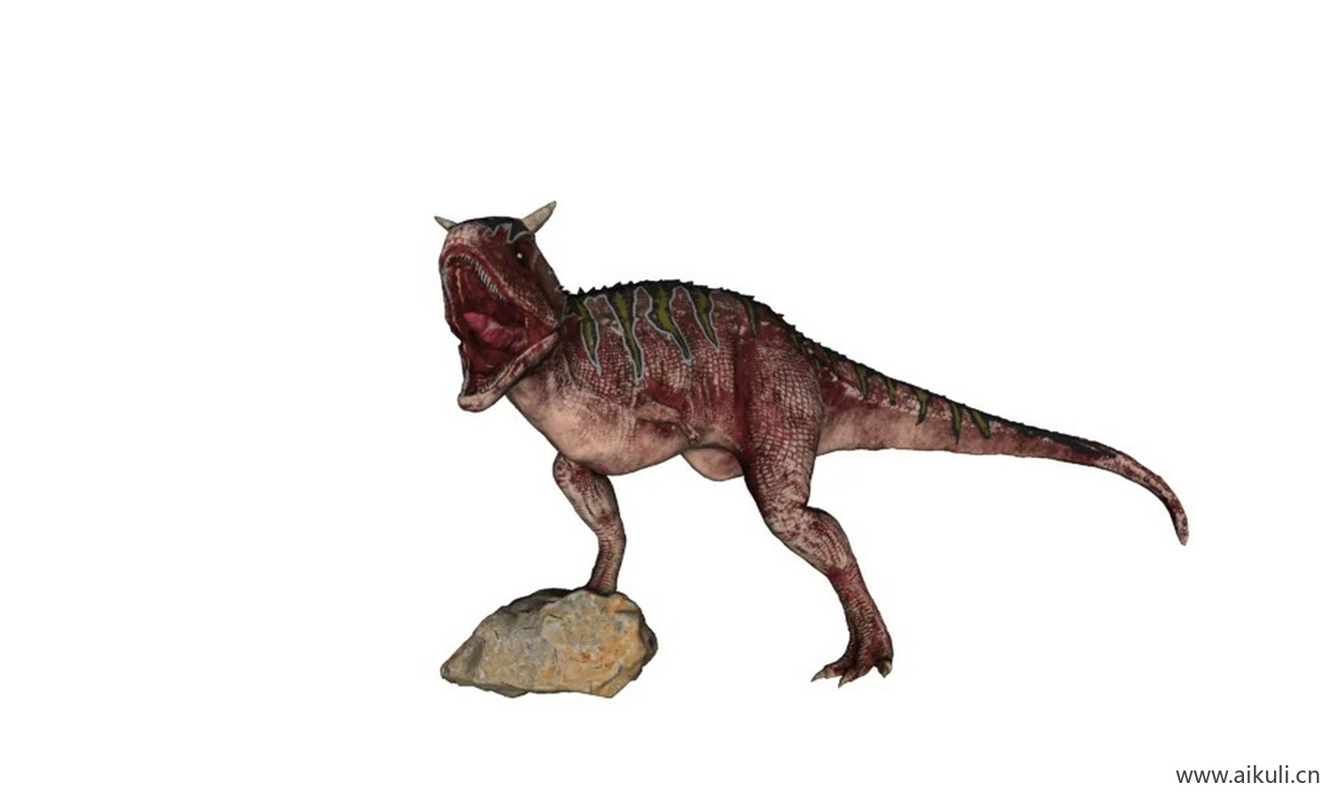 恐龙 - 恐龙-Carnotaurus