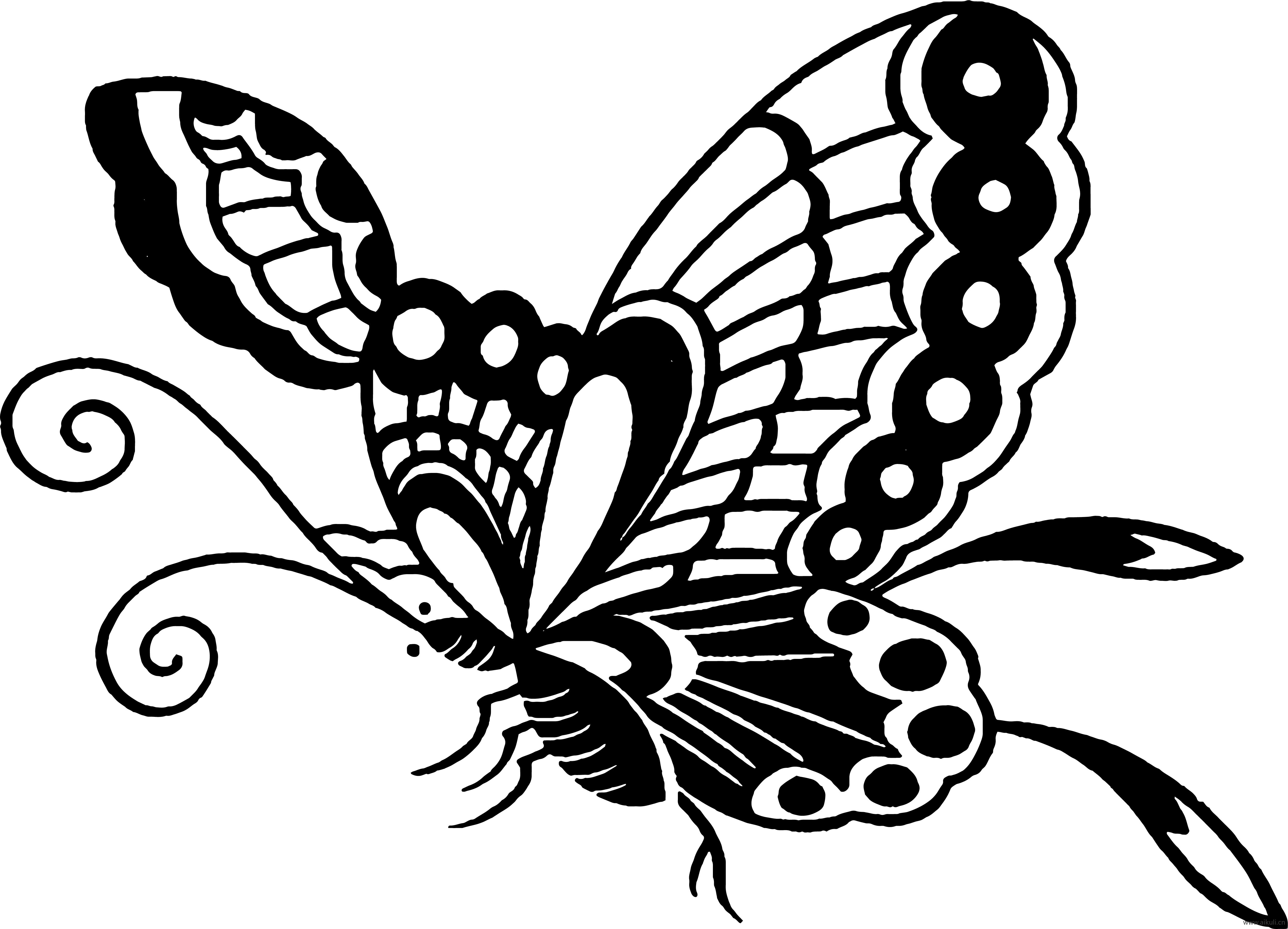 蝴蝶花纹图形PNG免扣 (4)