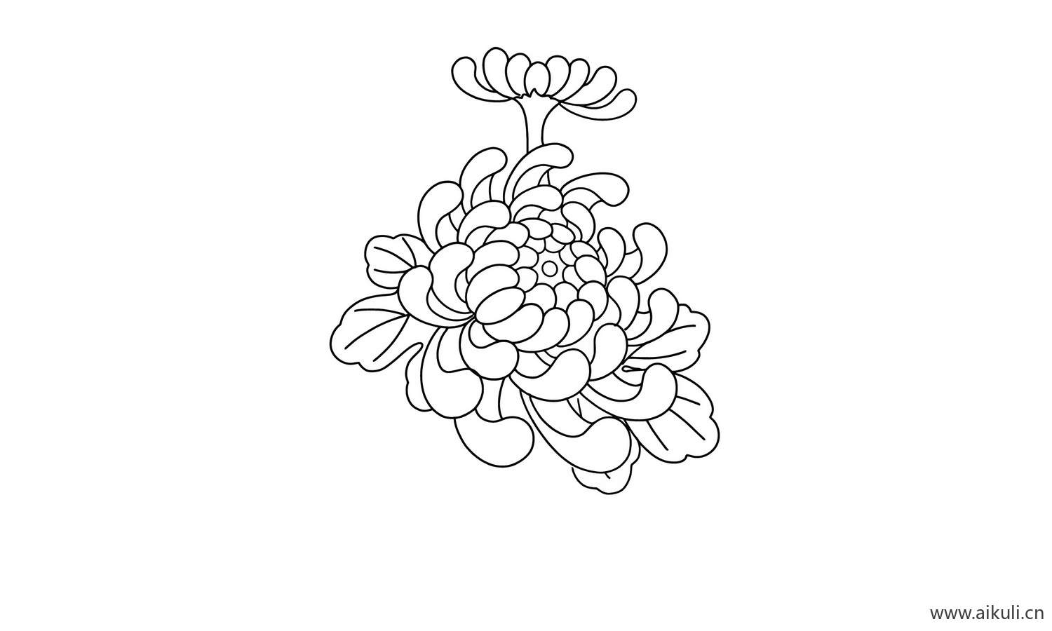 菊花纹花草纹图形AI-C矢量免扣