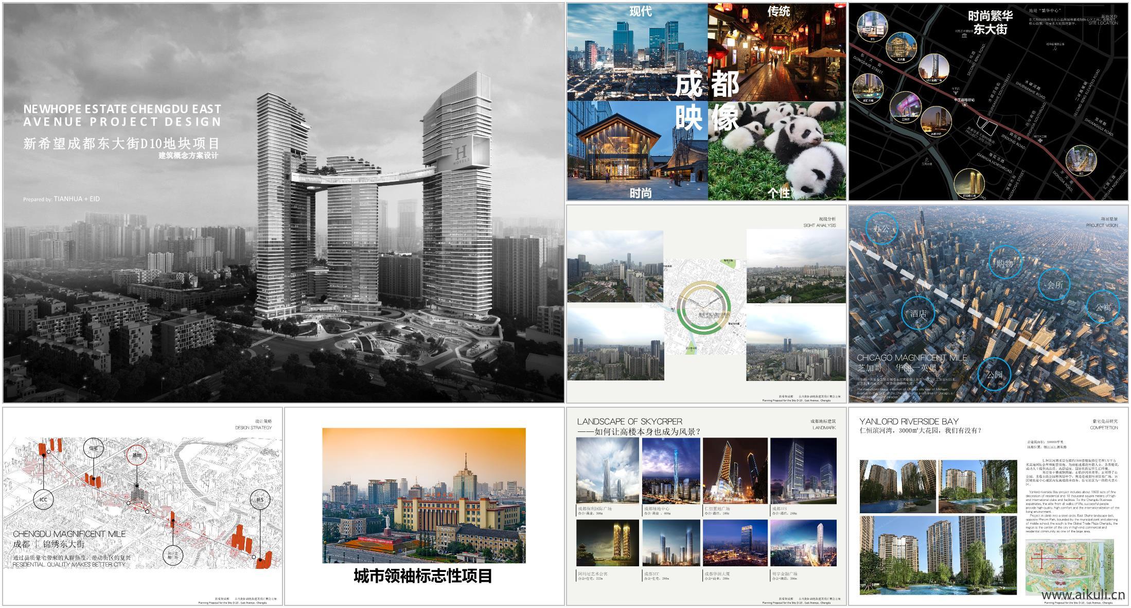 新希望成都东大街华丽大道D10地块投标文本