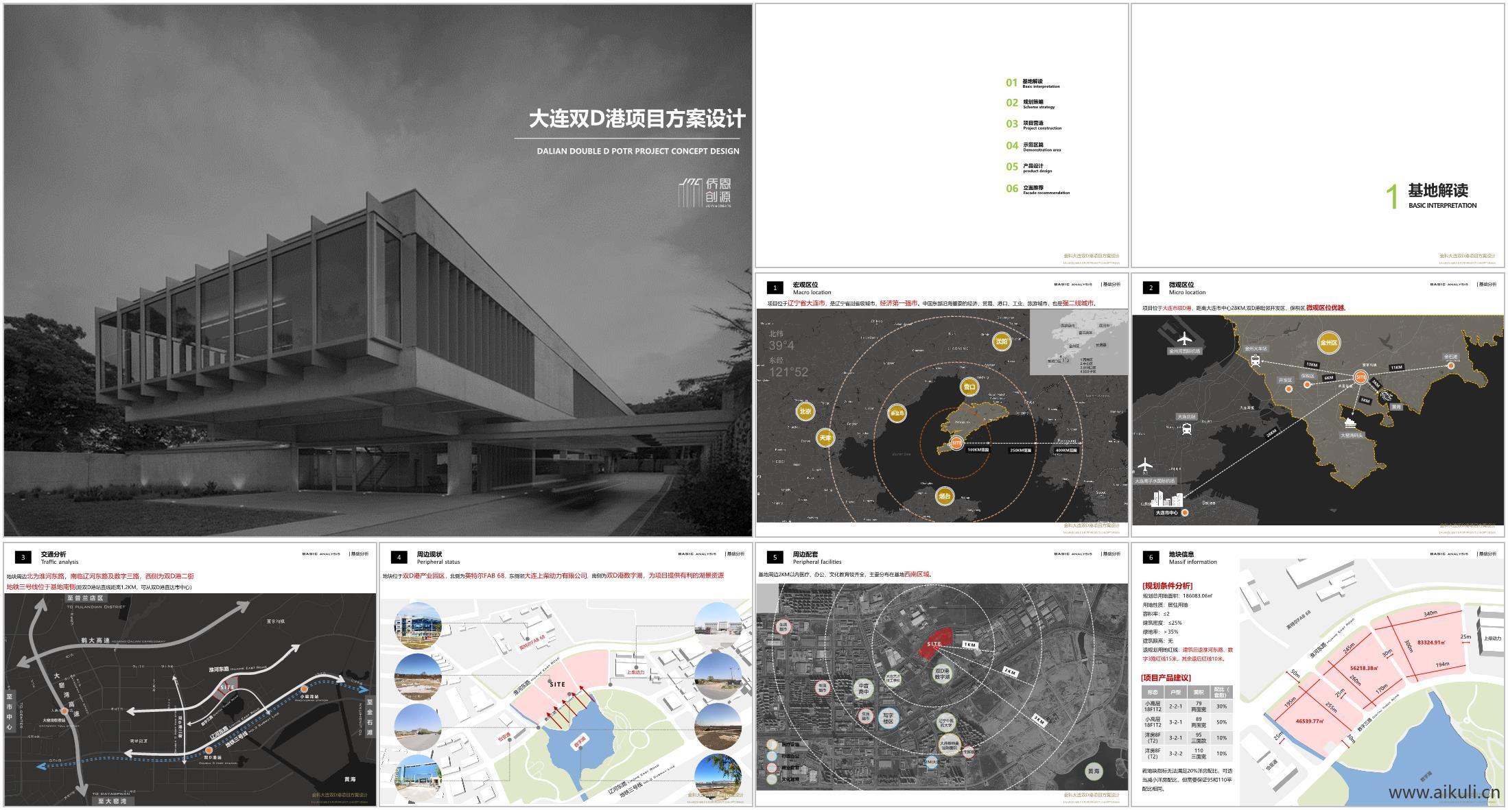 双D港项目投标汇报文本