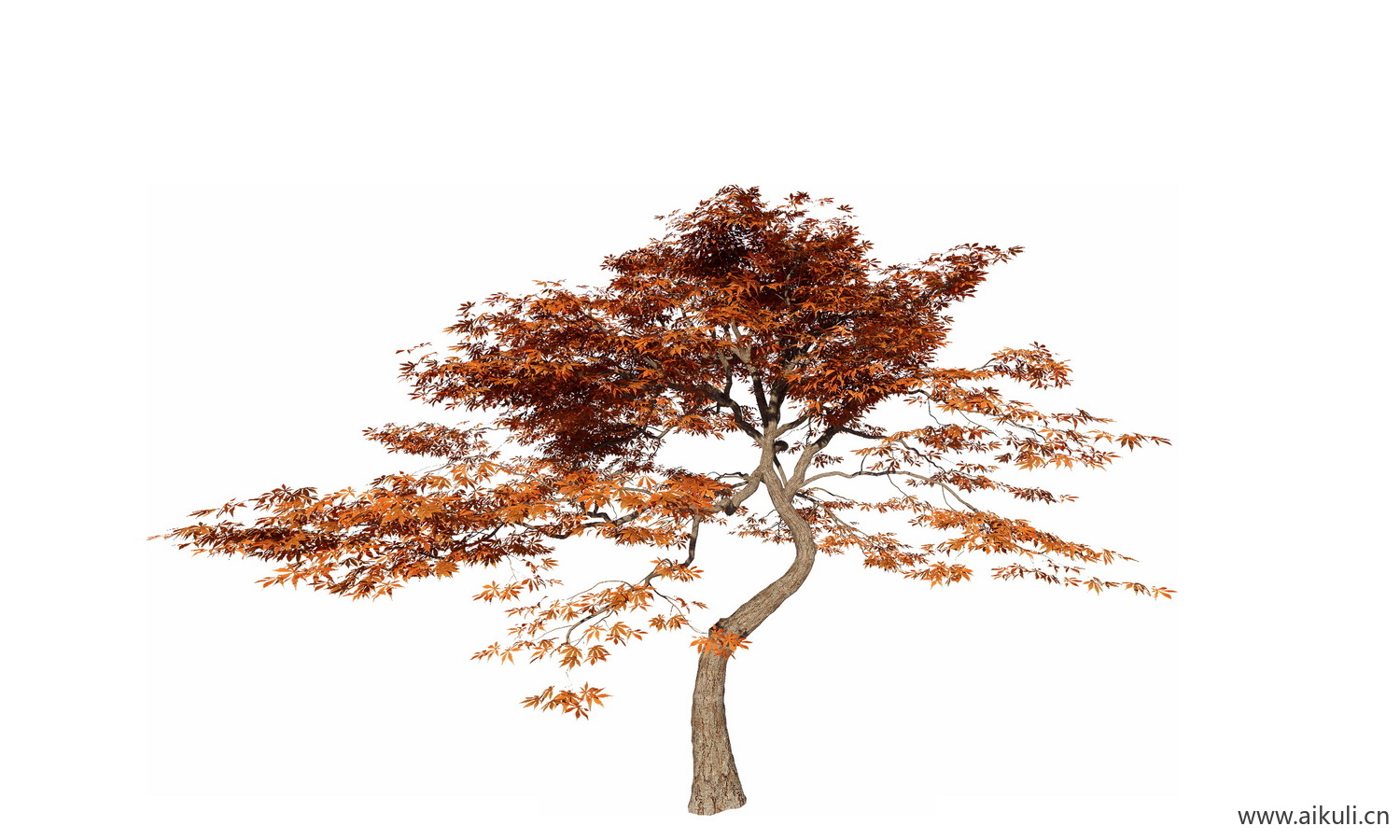 飘枝树歪脖子树_偏冠树造型树_弯杆植物PNG树飘枝