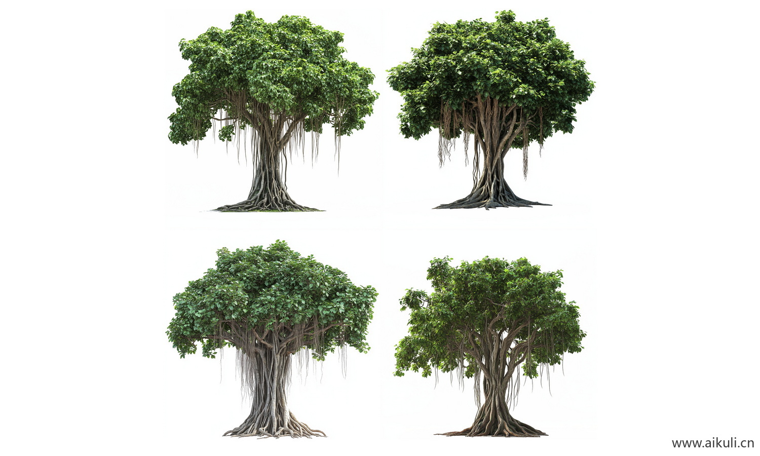 古树常绿大树榕树PNG免扣