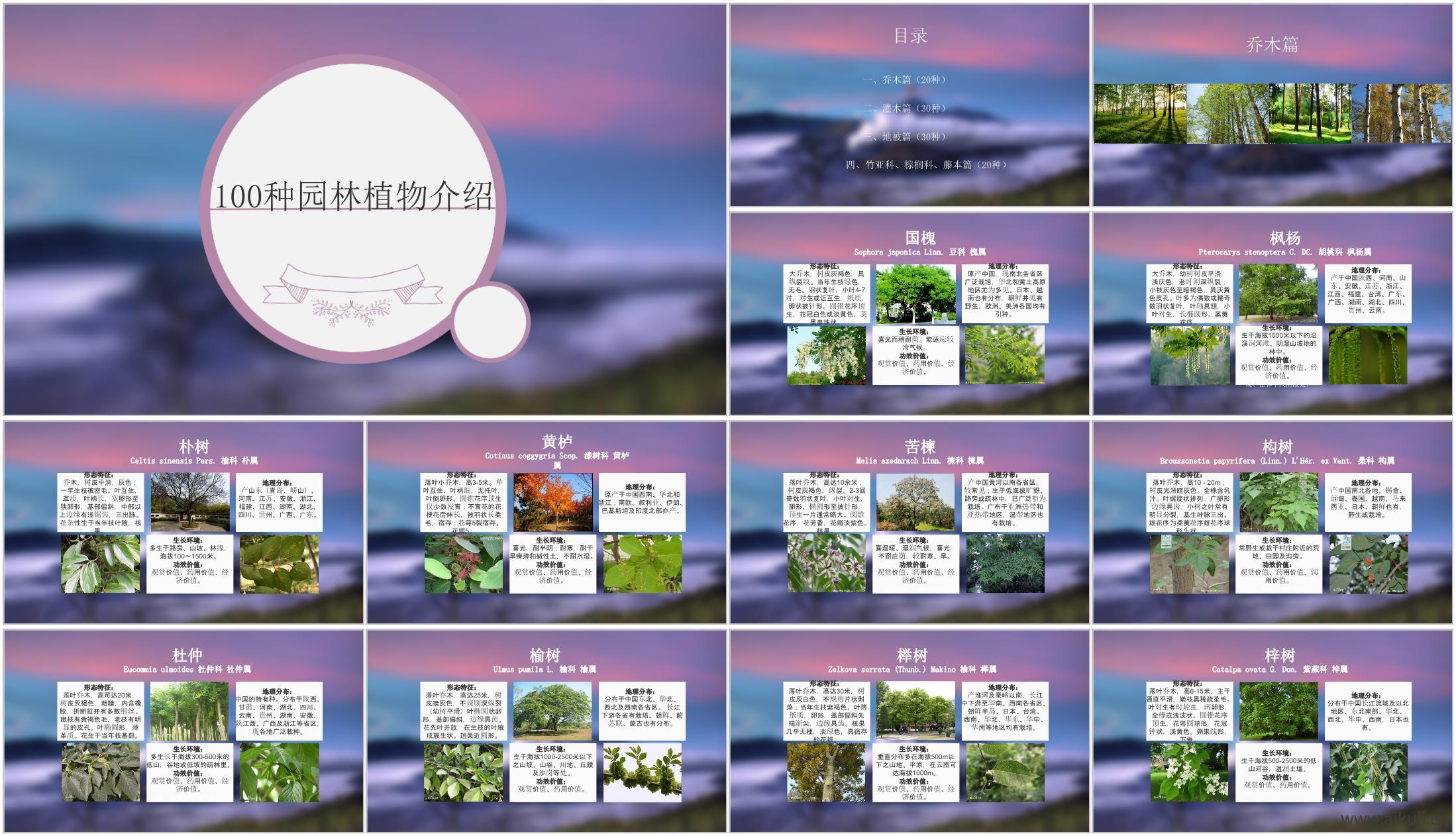 常见园林植物详解