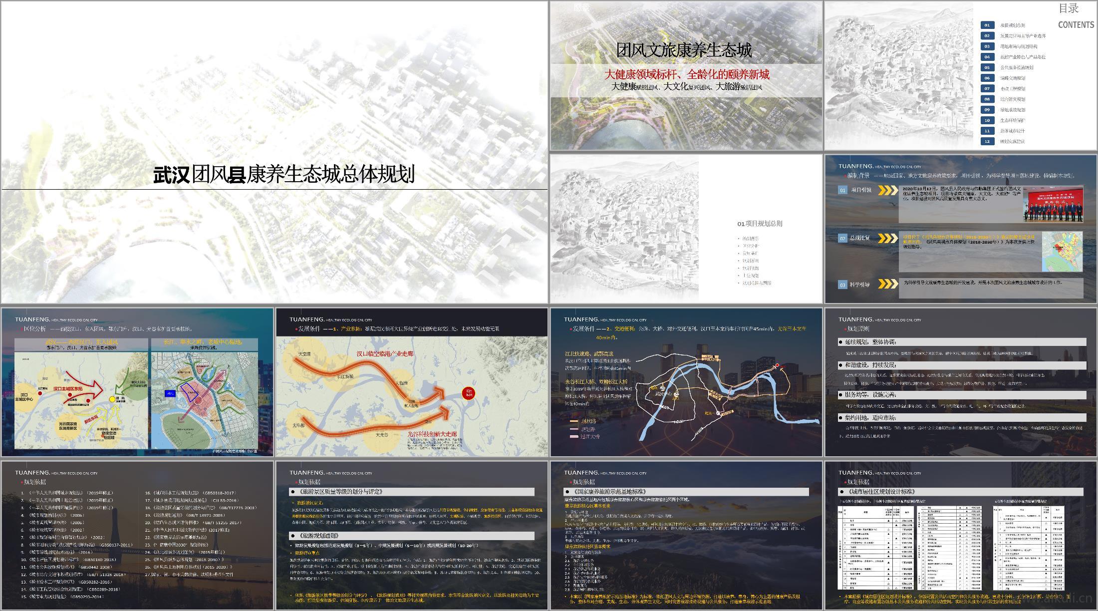 武汉团风文旅康养生态城概念策划方案文本