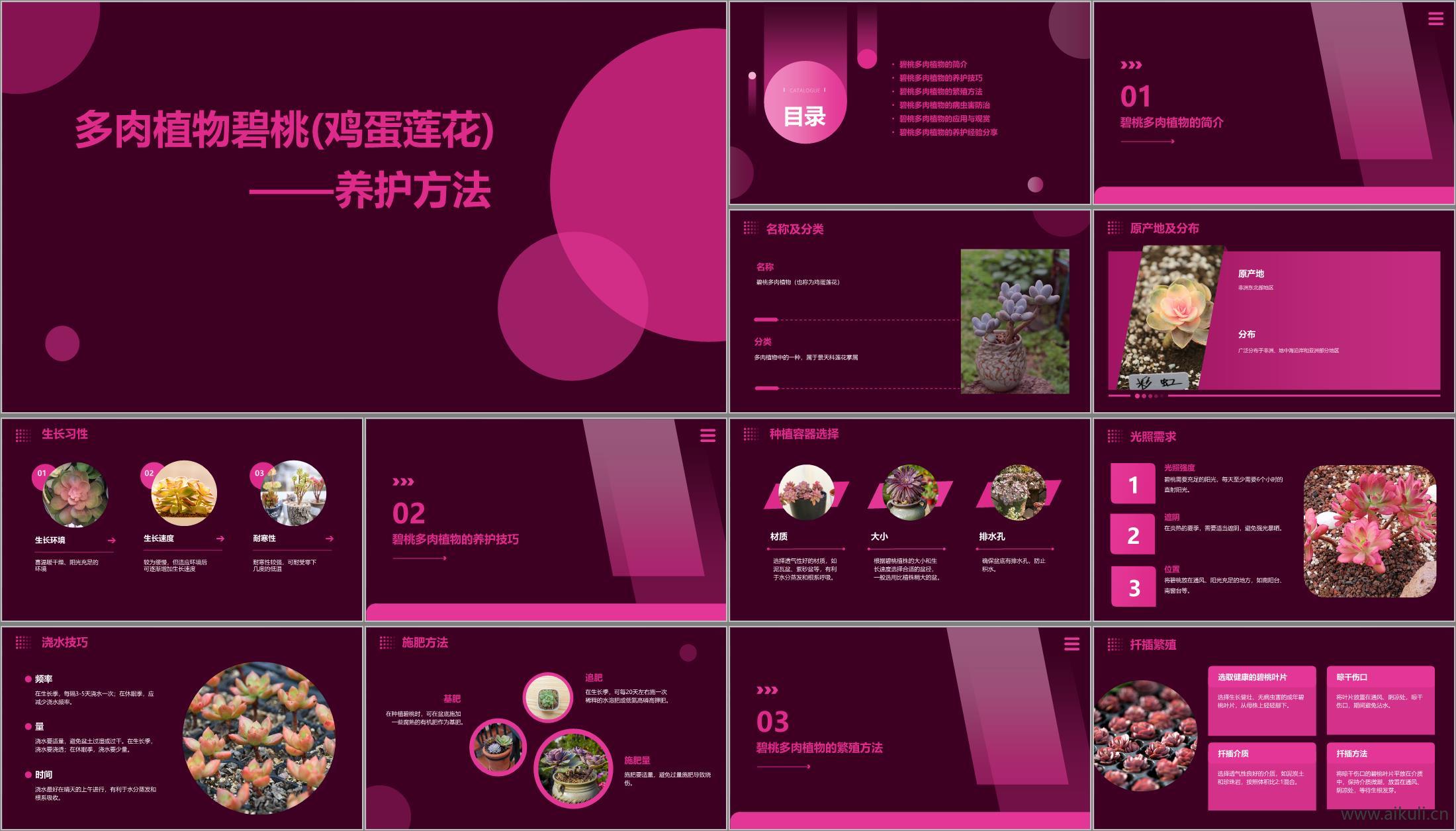 现代其他景观文本_多肉碧桃鸡蛋花_养护方法