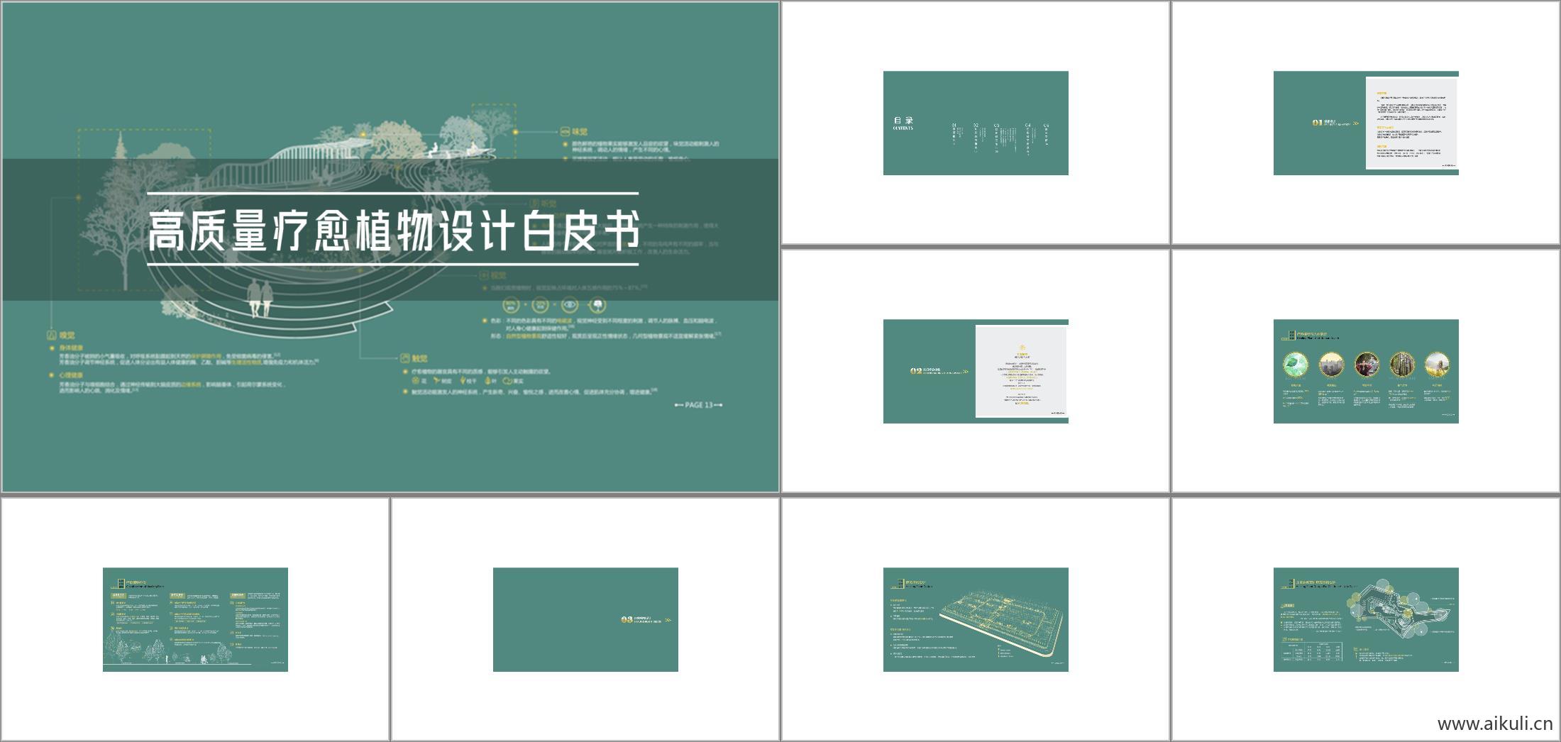 标准手册_高质量疗愈植物_疗愈植物资源表_植物设计白皮书_各区域活动空间