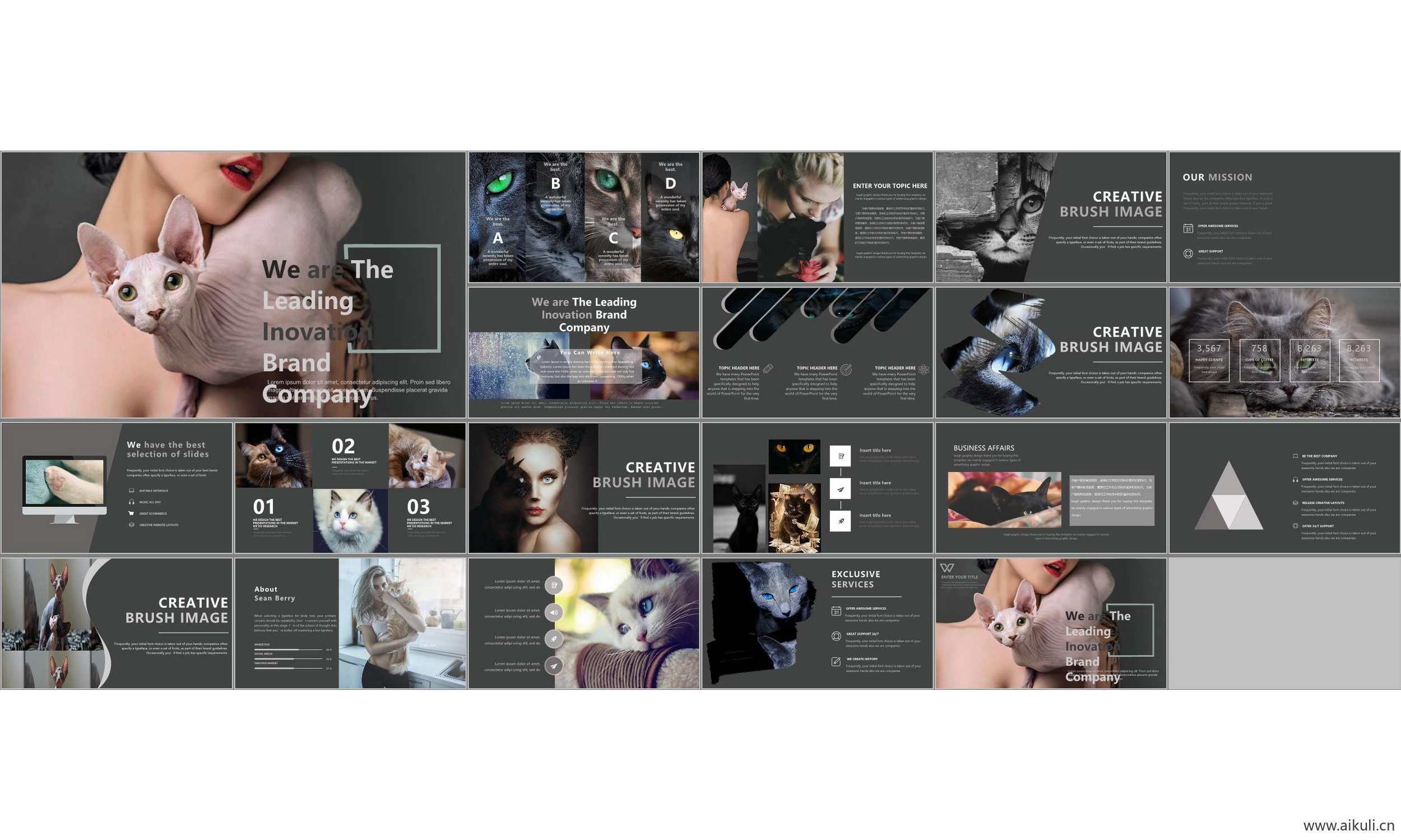 现代国外公司介绍工作汇报总结#主题#ppt