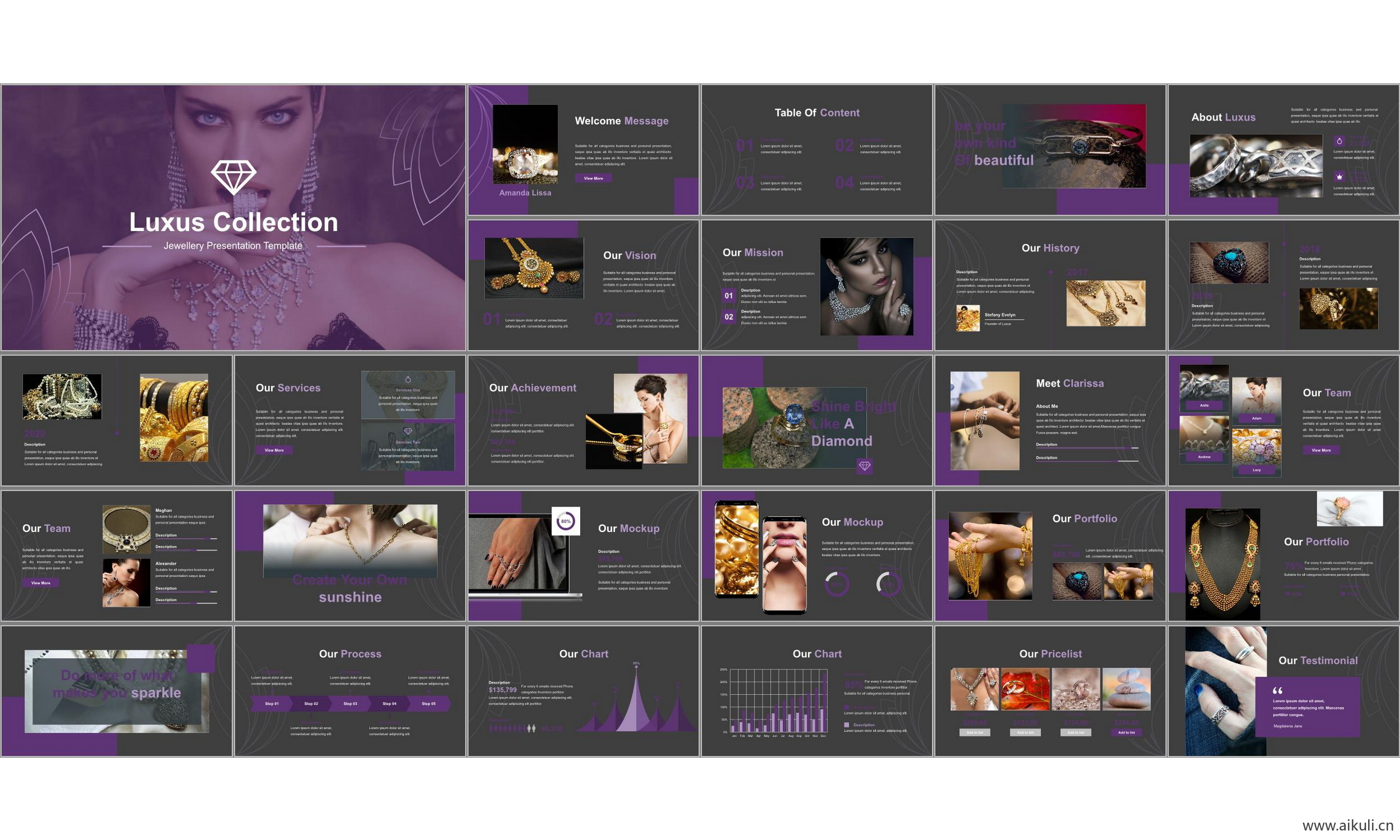 ppt模板宝首饰店 设计销售鉴赏产品业务介绍公司简介