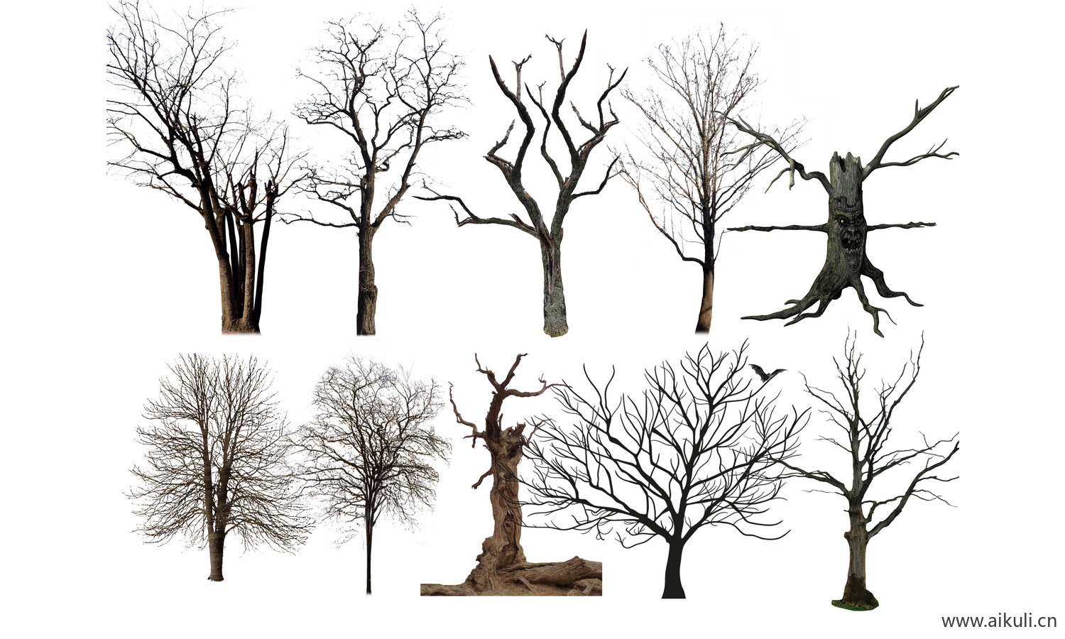 枯木枯树枝素材贴图PSD