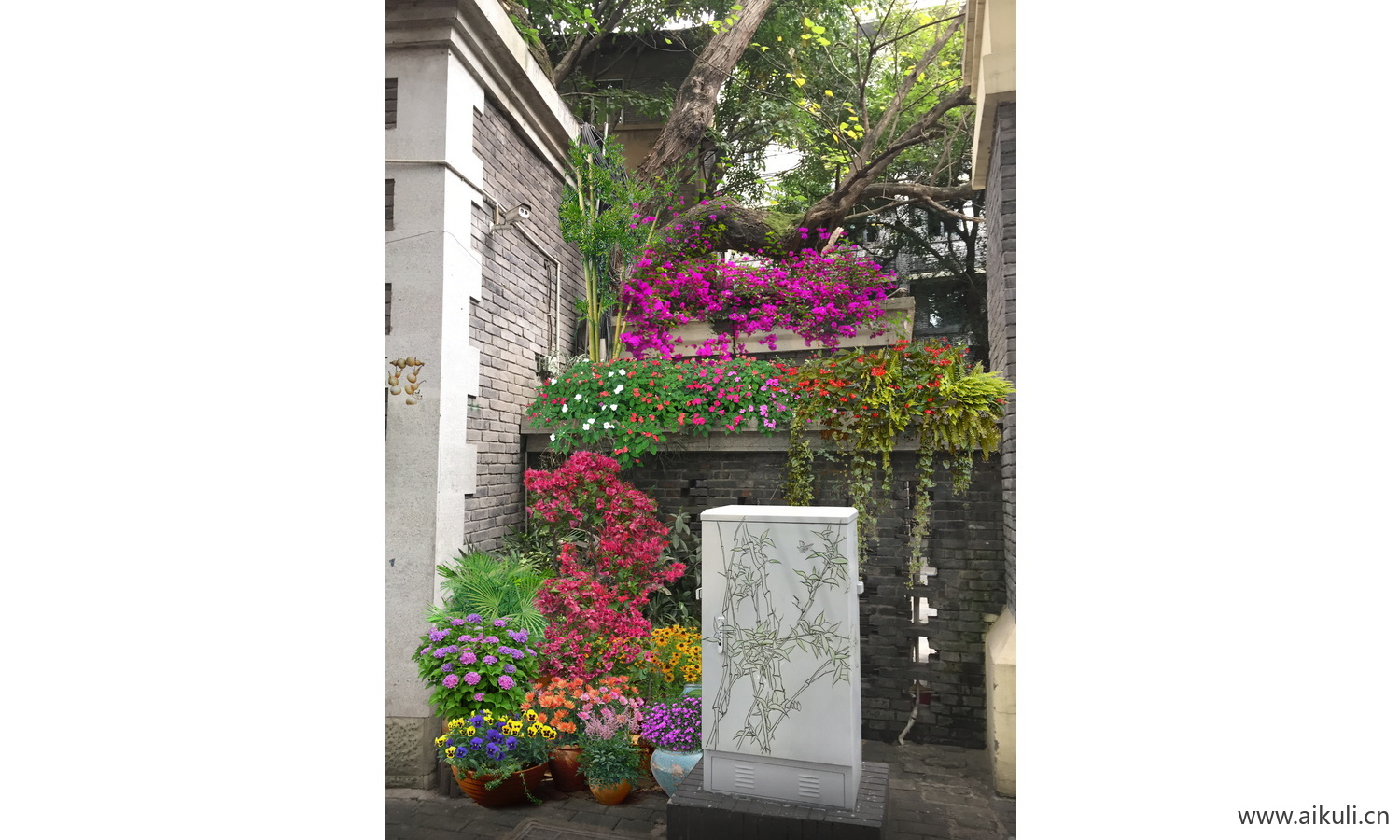 景观花浦造型改造ps