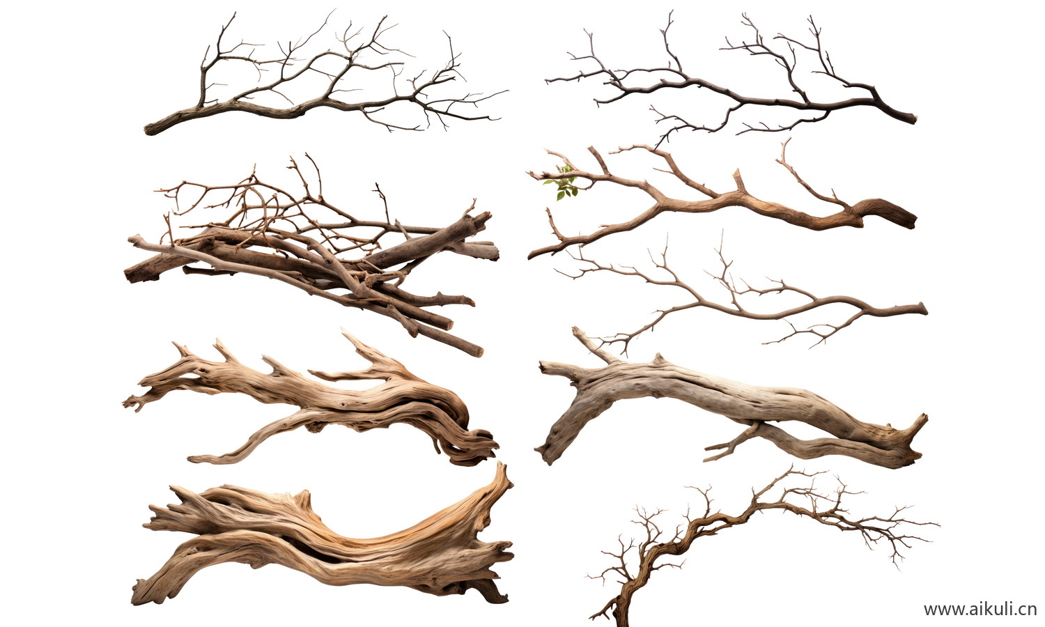 枯树枝PSD免抠枯木枯树枝素材贴图