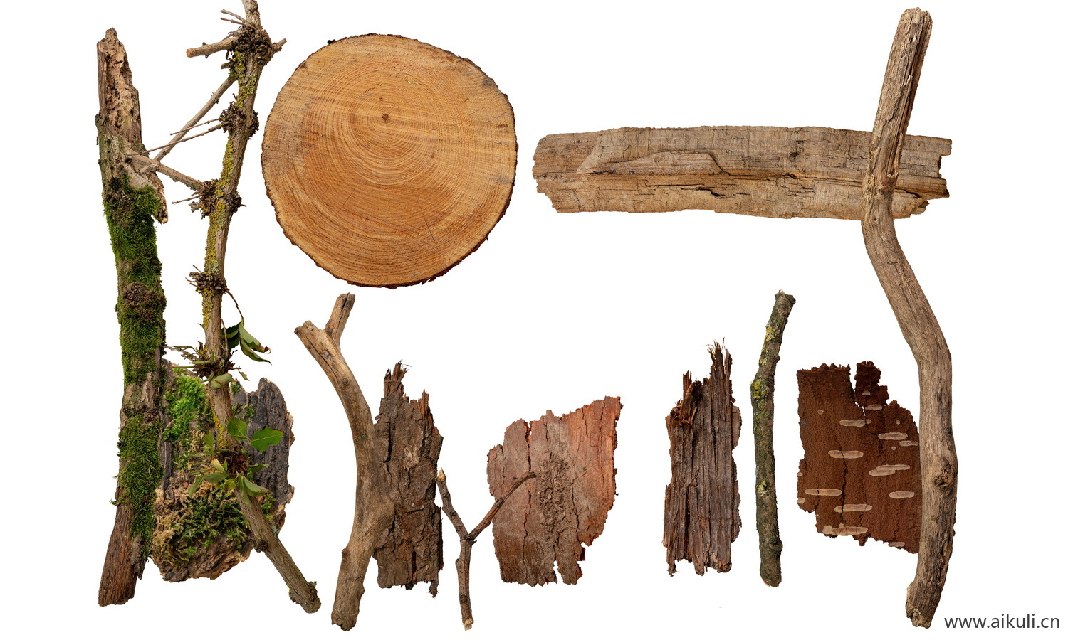 枯树枝PSD 木头树皮树枝贴图