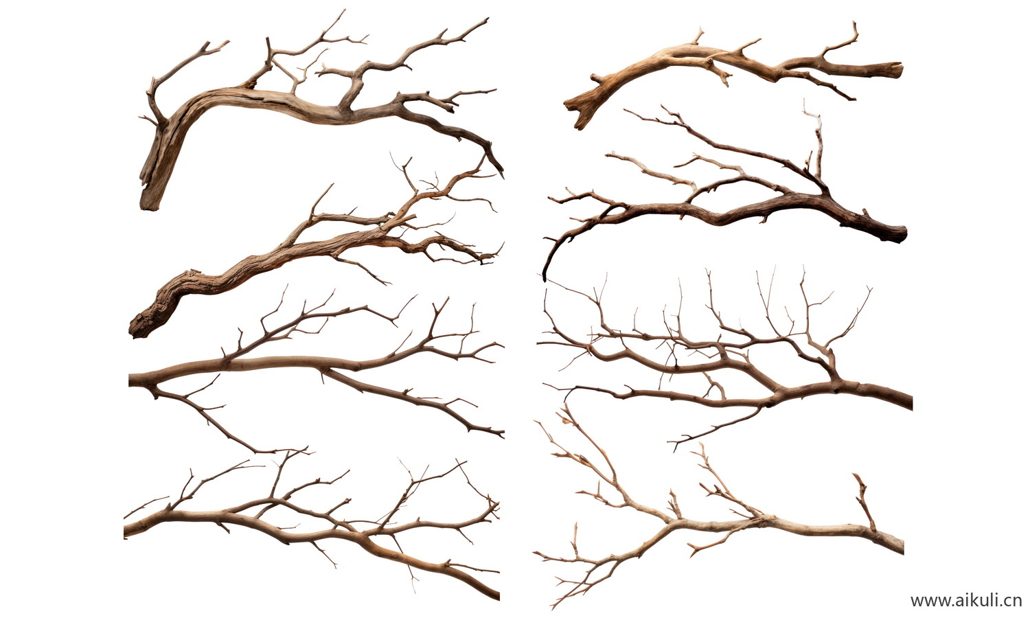 枯树枝PSD 枯木枯树枝素材贴图