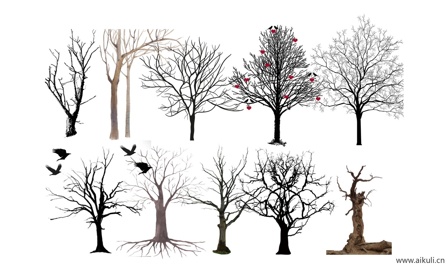 景观苔藓枯树树桩树干 PSD免抠贴图