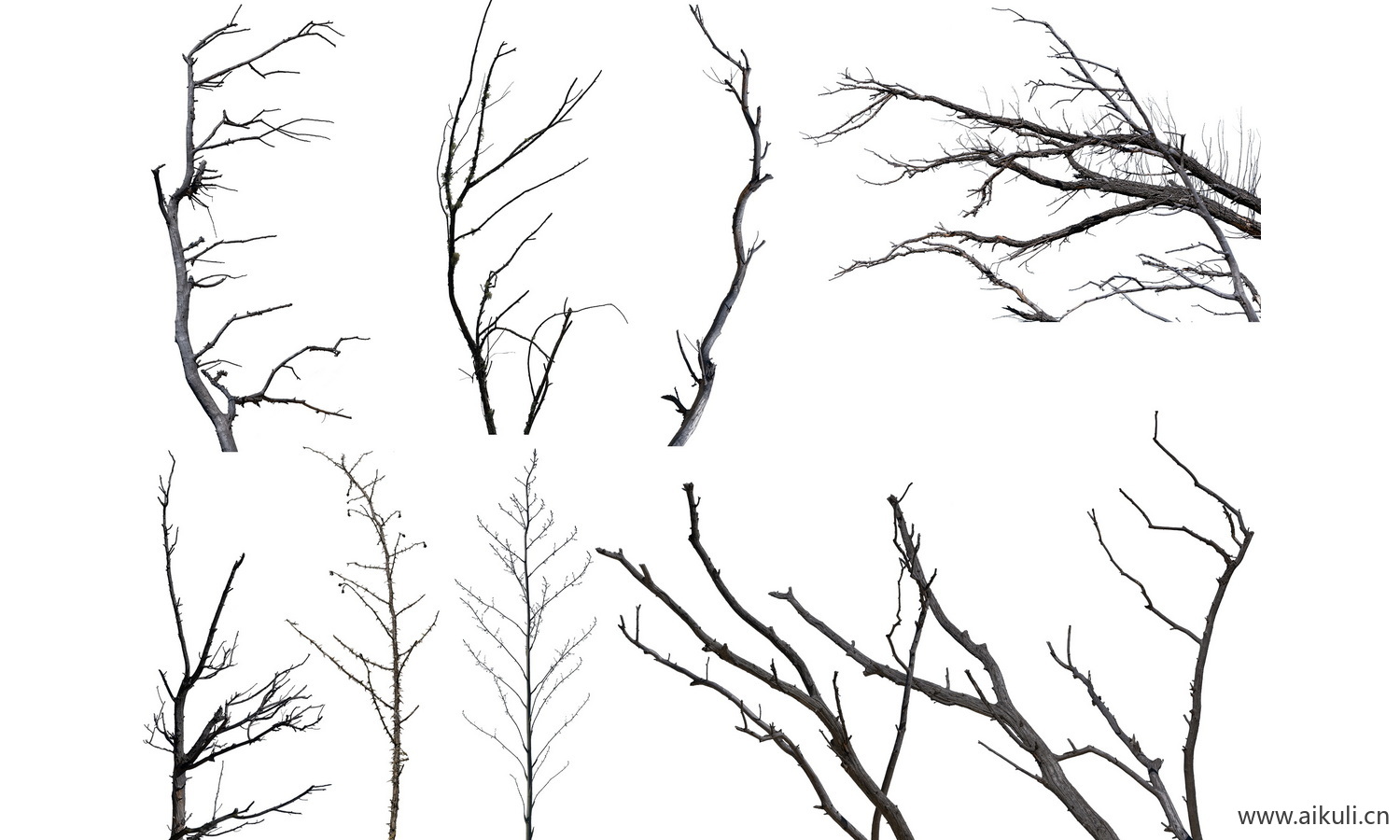 景观苔藓枯树树桩树干 PSD 免抠贴图