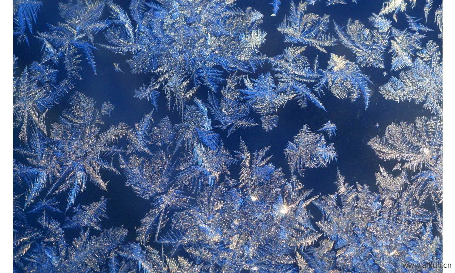 冰花艺术玻璃 (2)