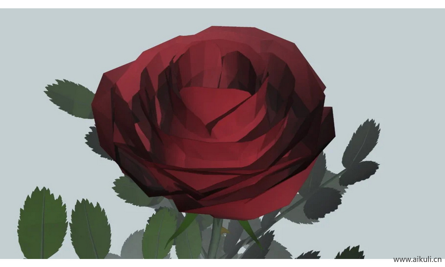 #爱 #情人节 #情人节花