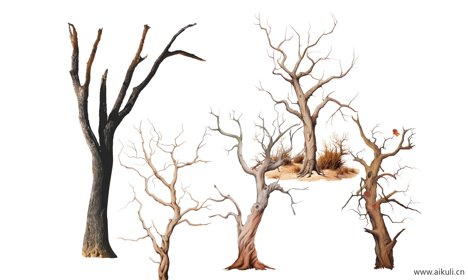 枯树枝PSD枯木枯树枯树枝素材贴图