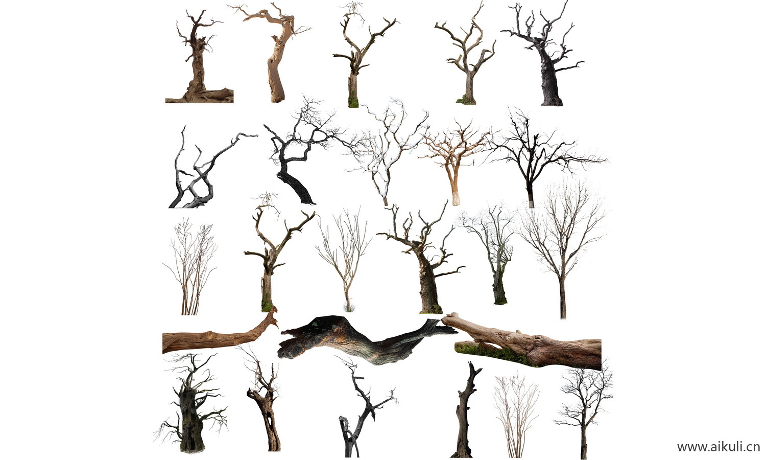 枯树枝PSD 免抠枯树枯木贴图