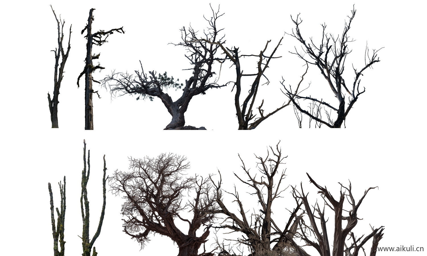 免抠枯木枯树枝素材贴图PSD