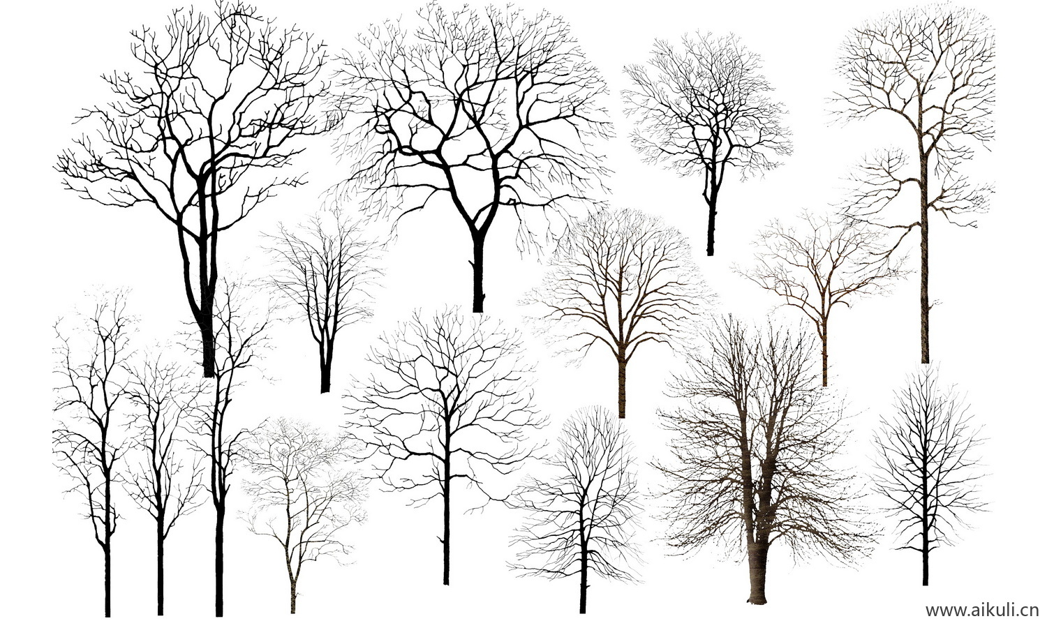 景观苔藓枯树树桩树干 PSD 免抠