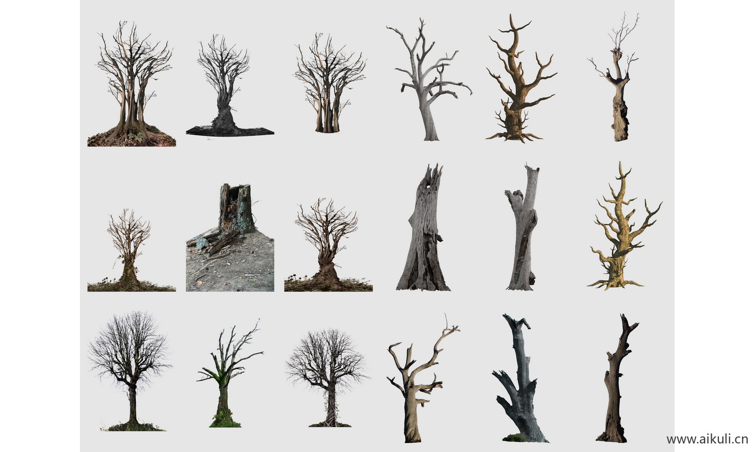 景观 枯树树桩树干 PSD 免抠