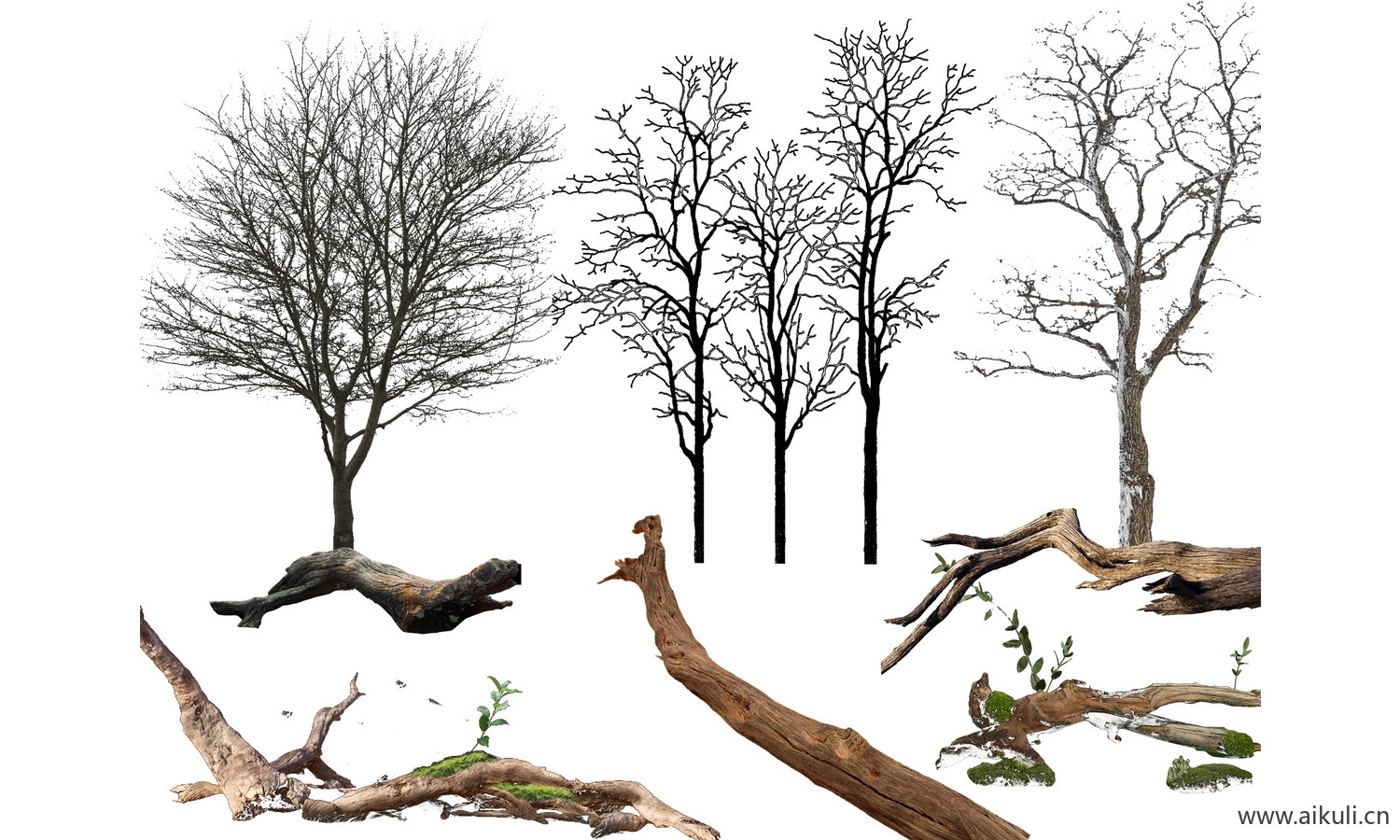 景观枯树树桩树干 PSD 免抠贴图