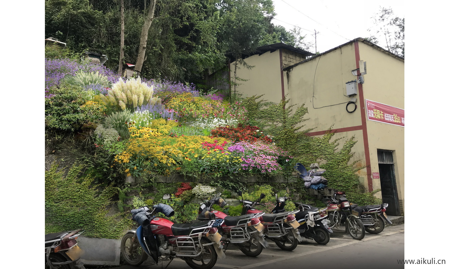 庭院改造 花境卉素材psd分层