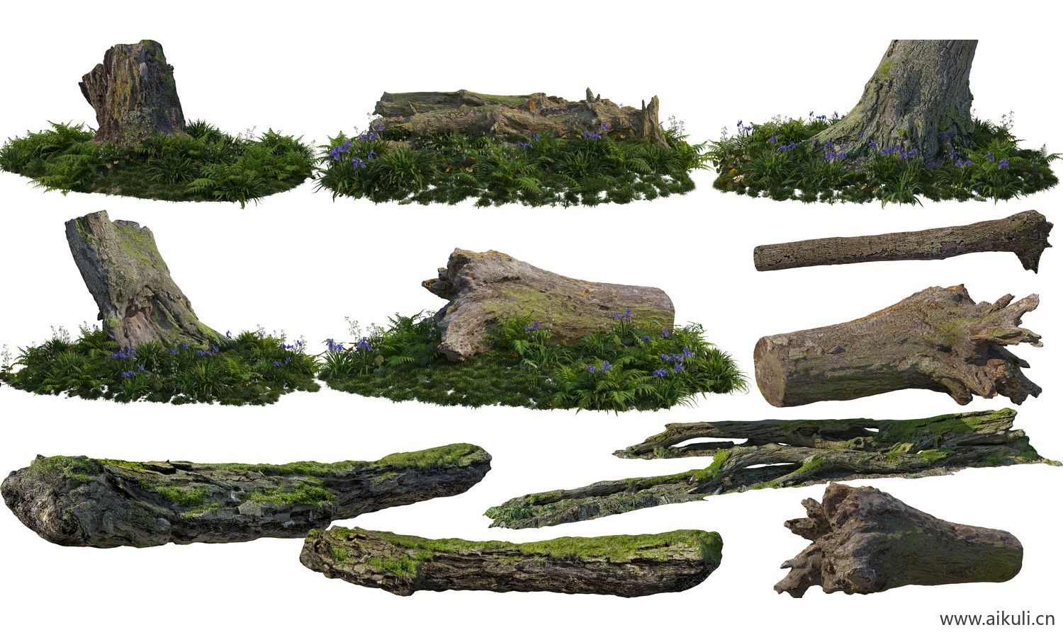 枯木苔藓造型植物组合_免抠贴图