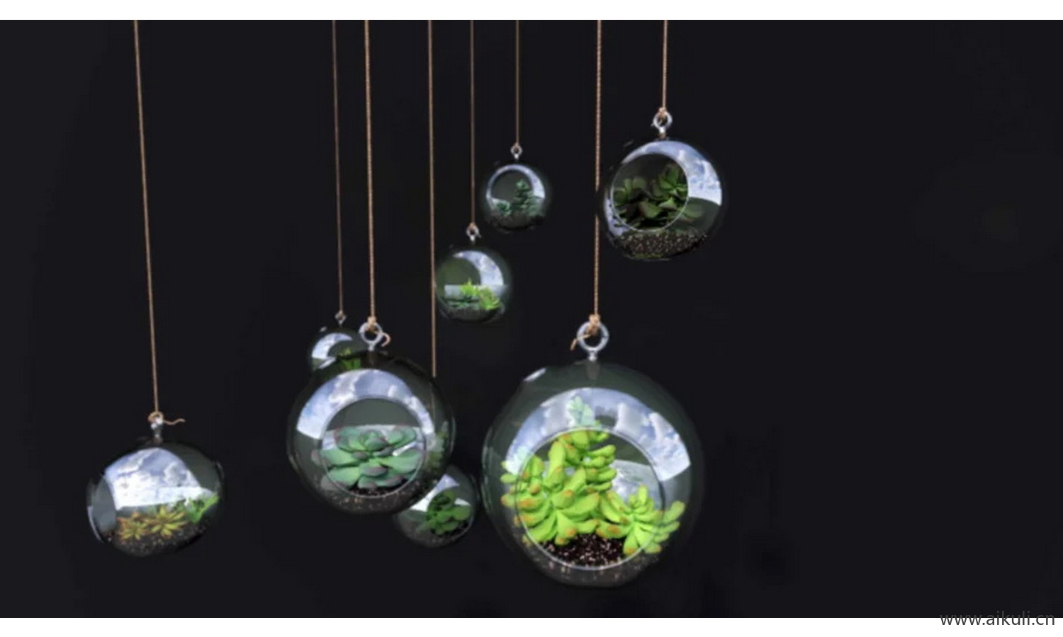 悬挂花盆装饰 _ 玻璃球 多肉植物