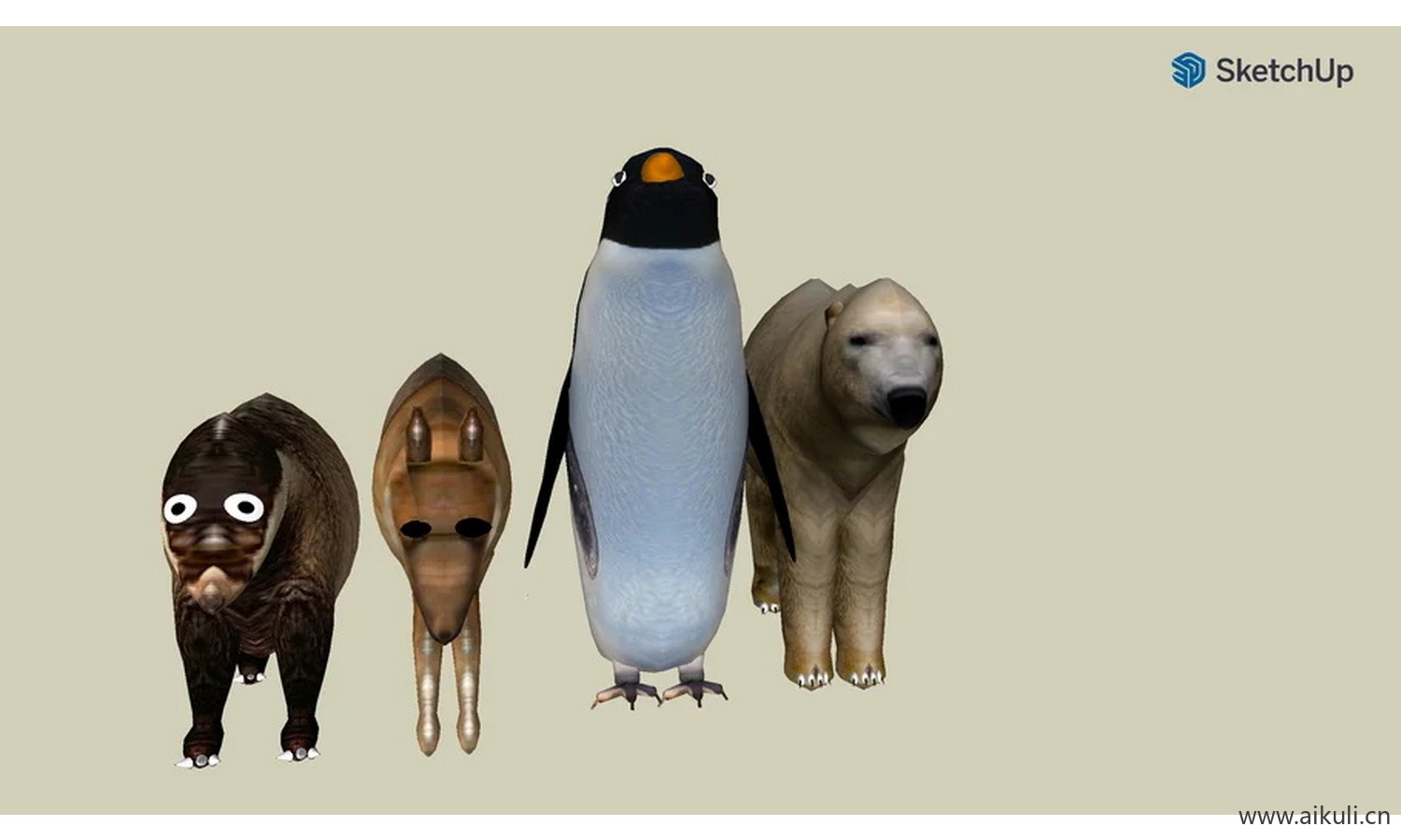 动物#眼睛圆圆的