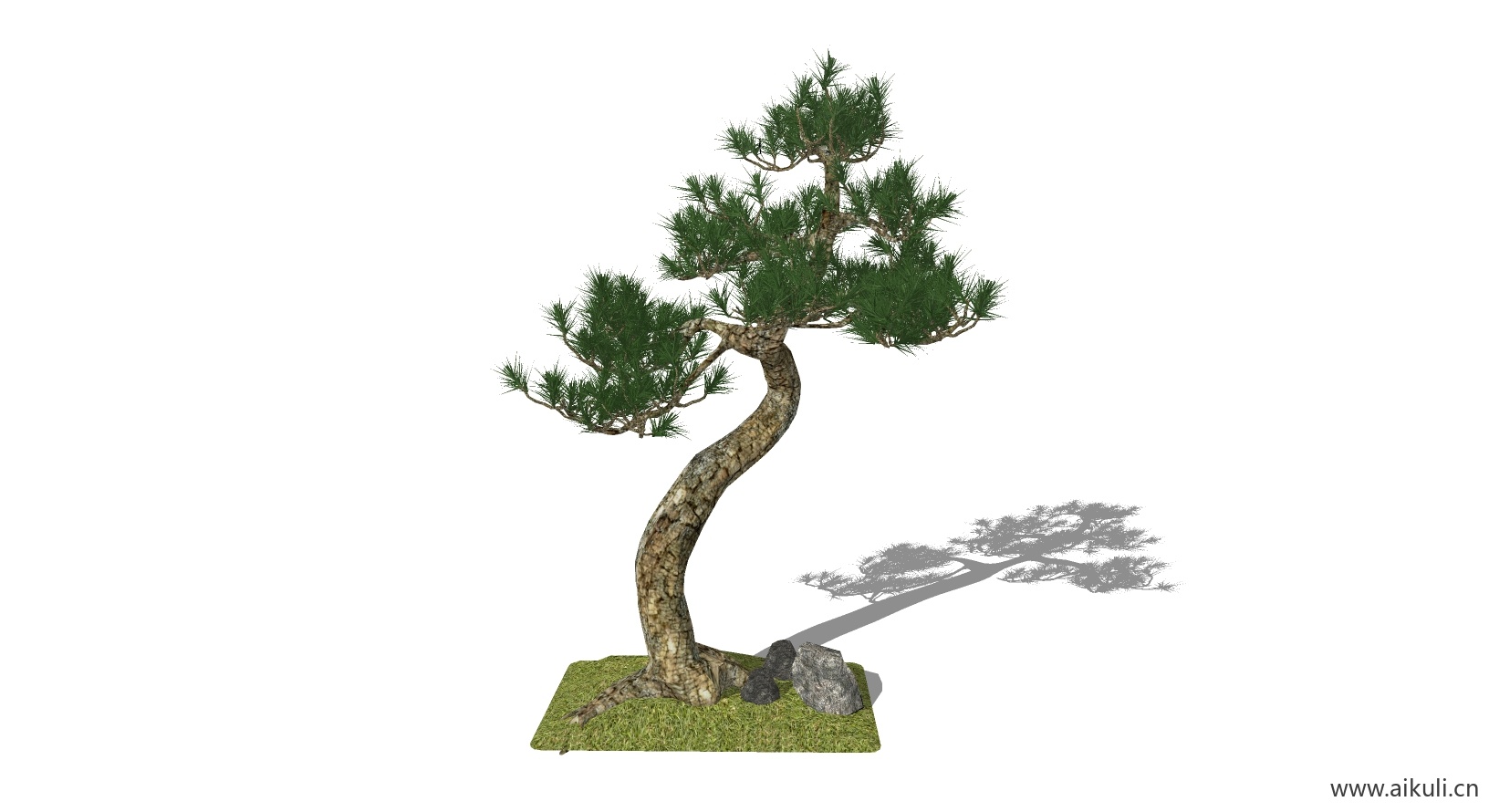 迎客松 植物E-SU模型