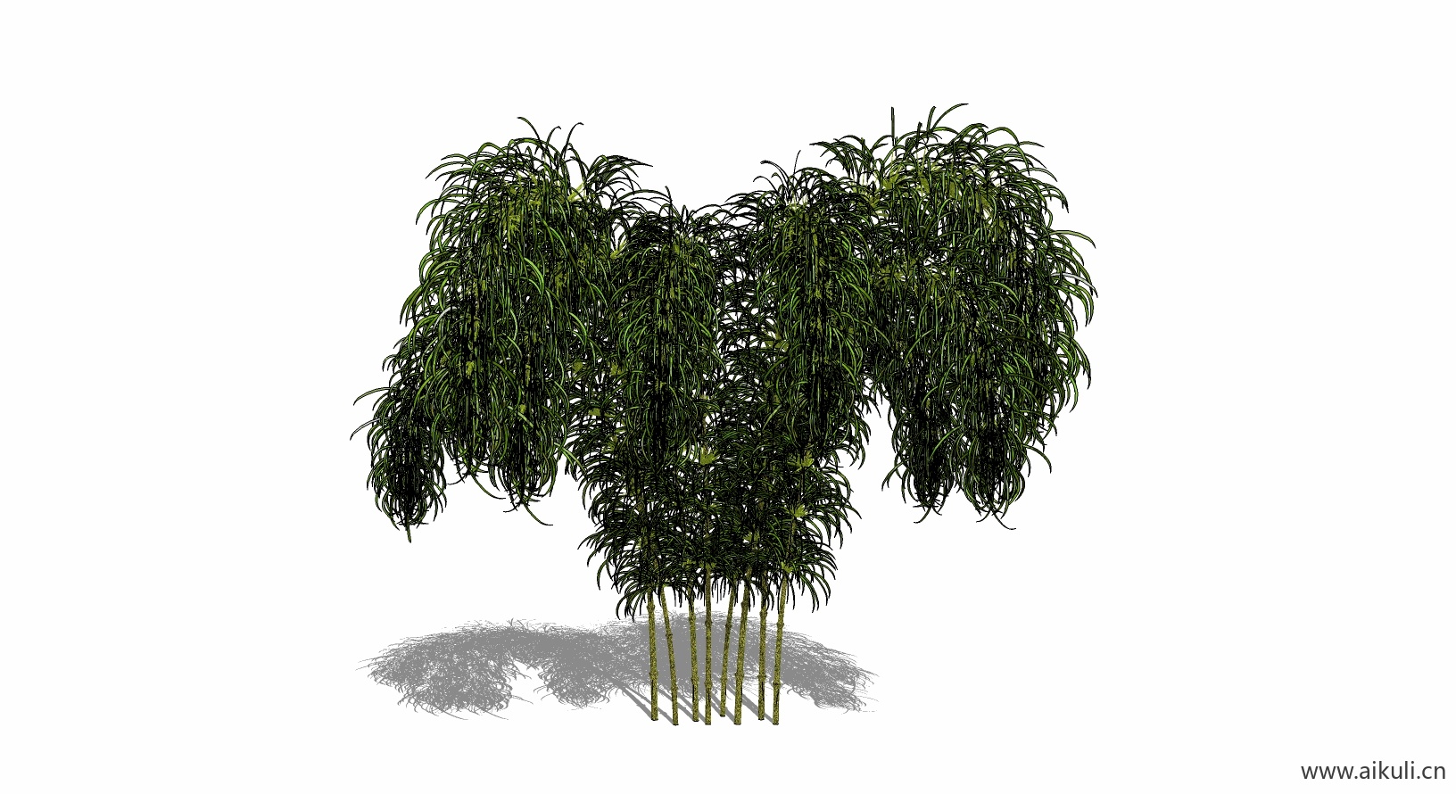 竹子 植物J-SU模型