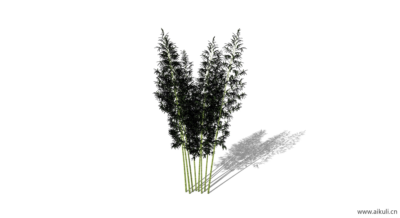 竹子 植物H-SU模型