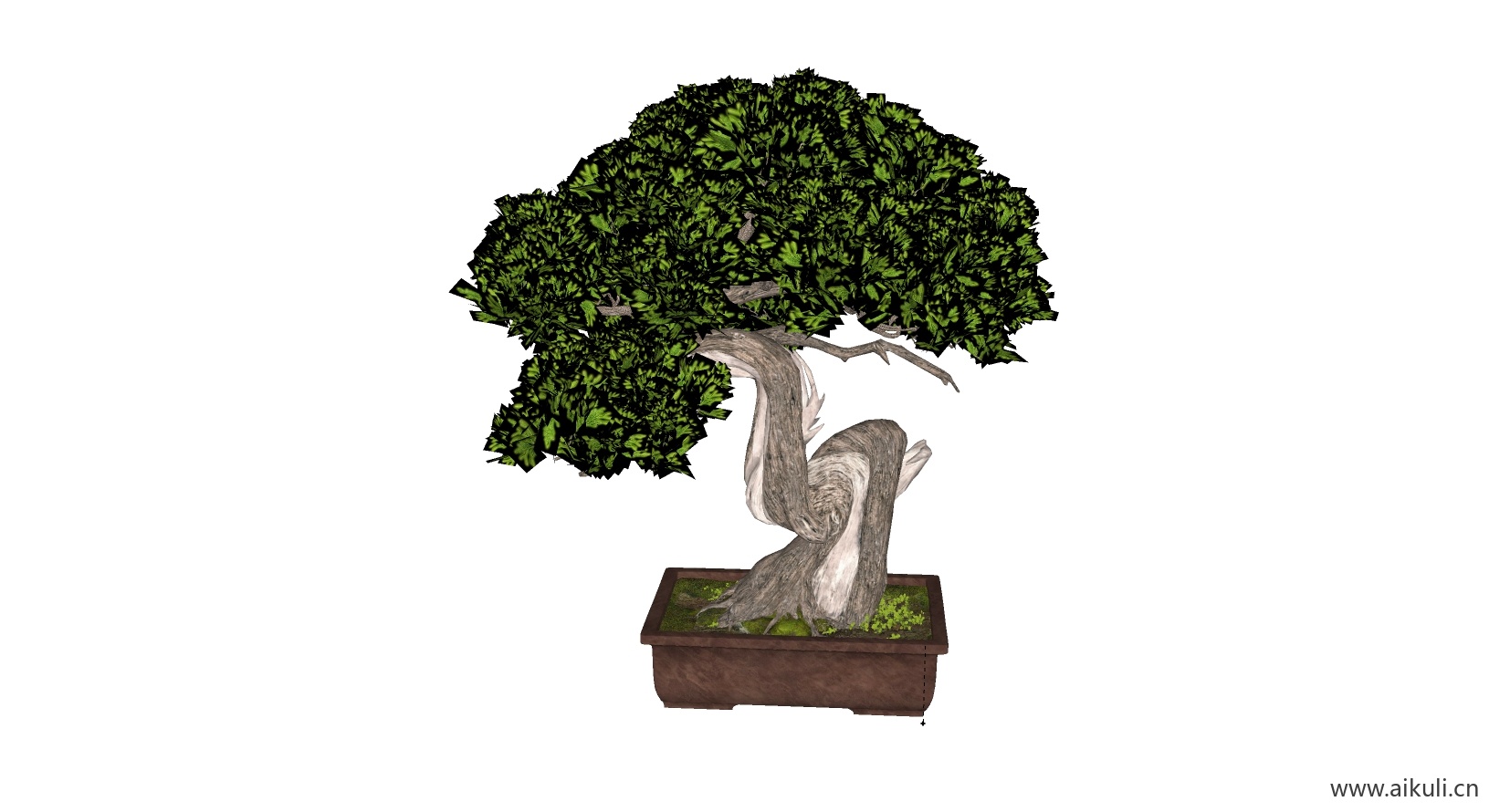 罗汉松中国风盘景 (11SU模型